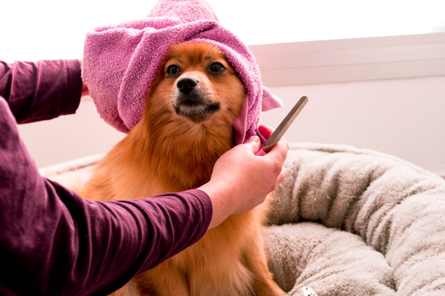 remove pet hair
