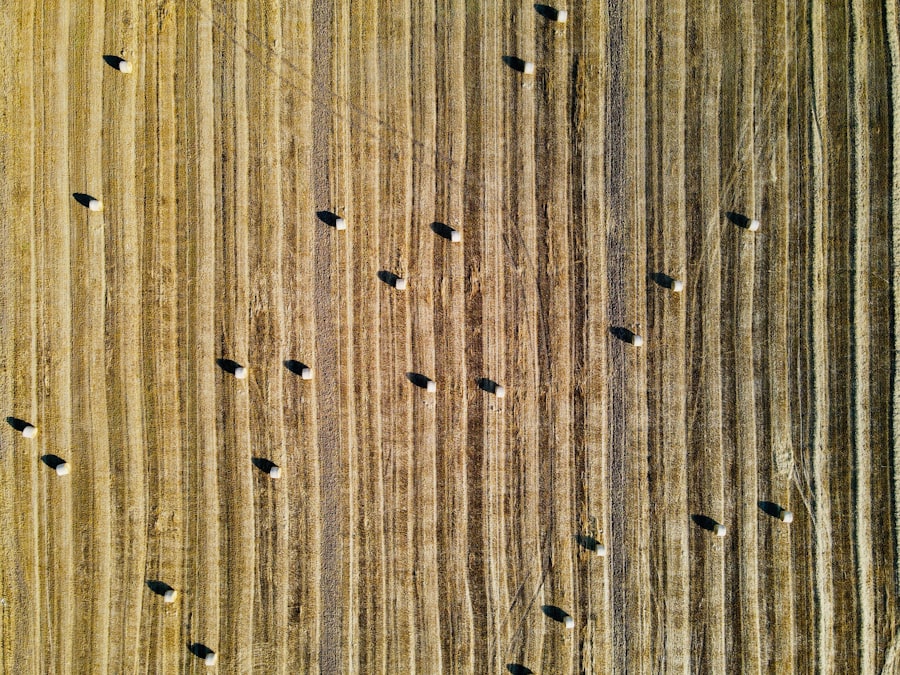 carpet cleaner, wood fence