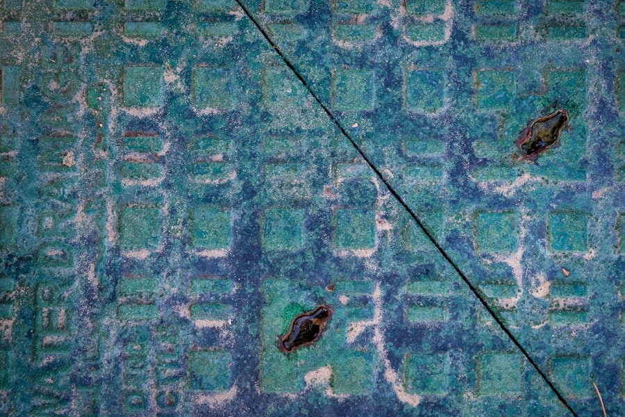 Photo dry carpet