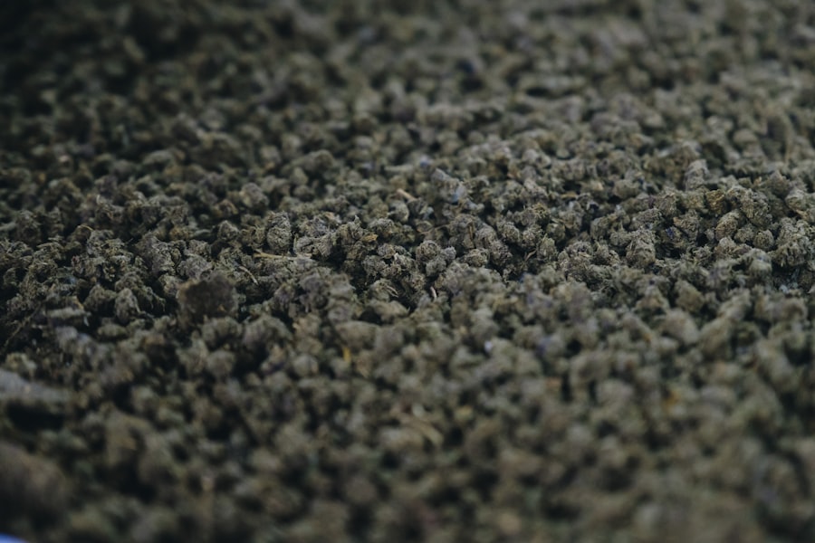 Photo deodorize carpets naturally