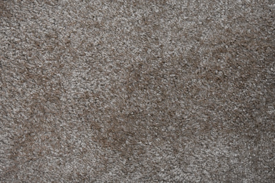 Photo carpet cleaner tip