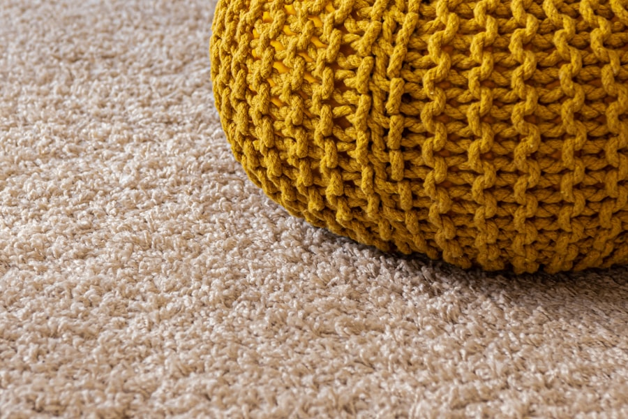 Photo carpet cleaning companies