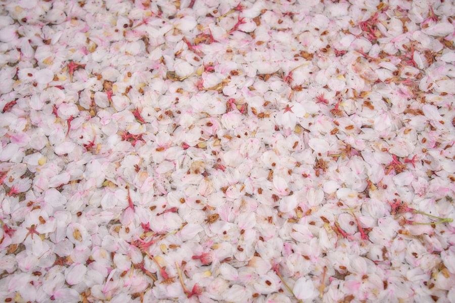 Photo commercial carpet cleaning package