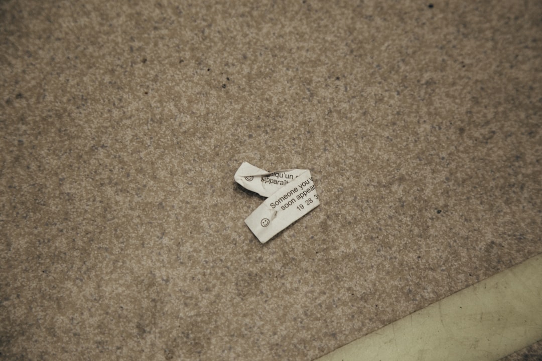 Photo tip carpet cleaner