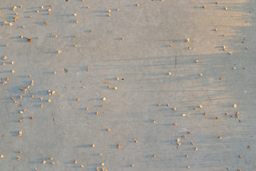 Photo eco carpet cleaner