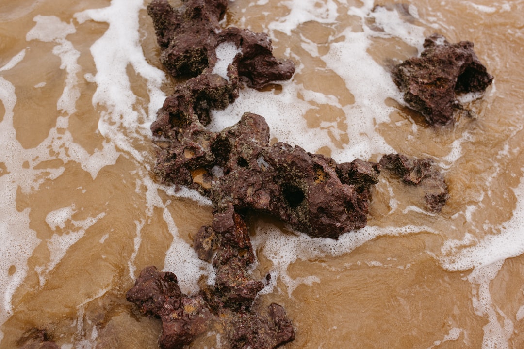 Photo remove mud stains