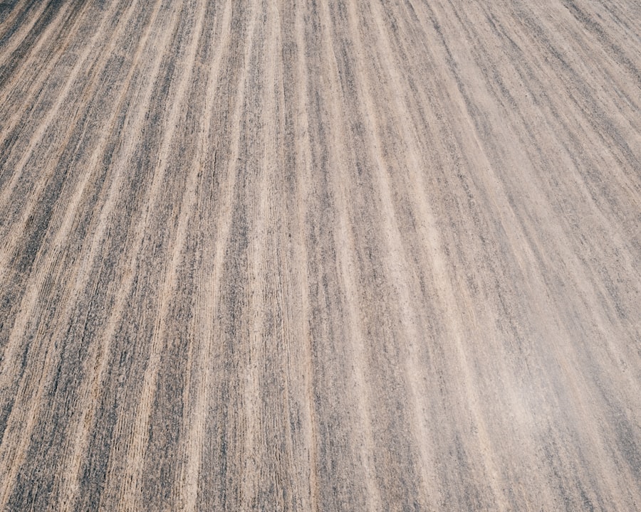 Photo homemade carpet stain remover