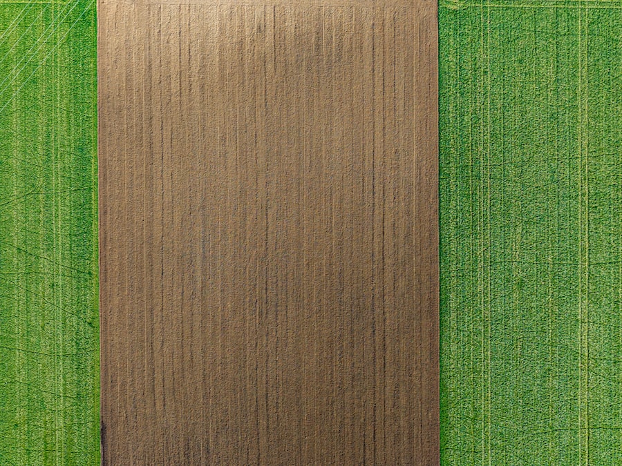 Photo carpet cleaner, wood fence