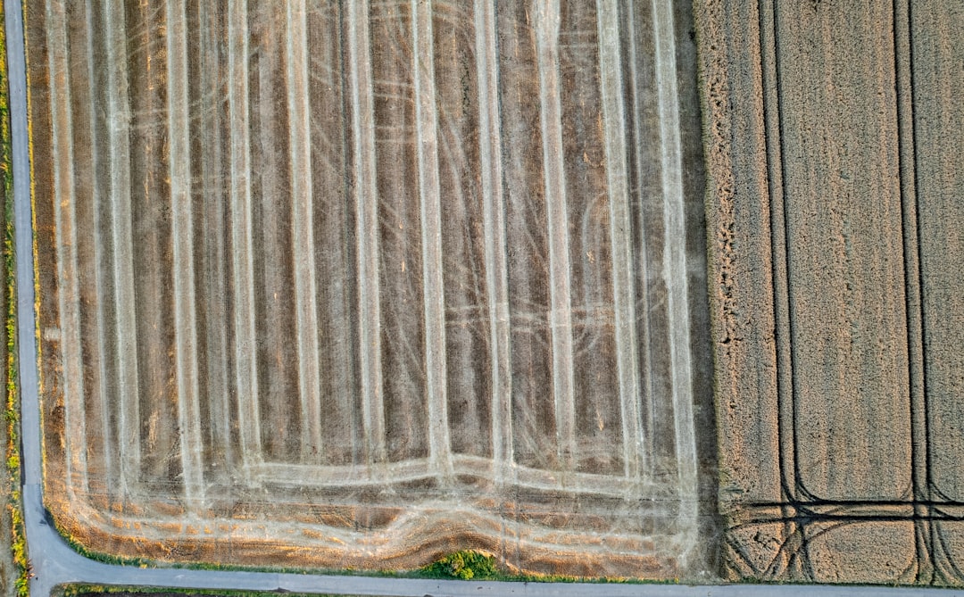 Photo carpet cleaner on wood fence