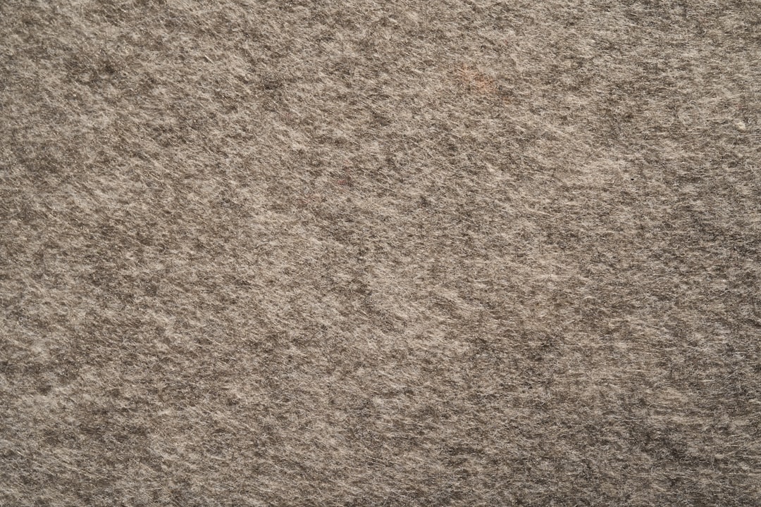 Photo dry carpet