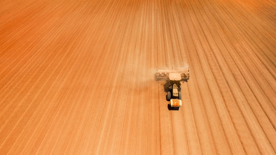 Photo carpet cleaner for wood